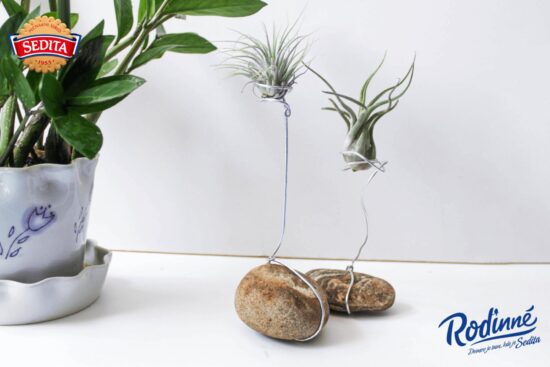 sedita-web-blog-1800x1202-diy-09